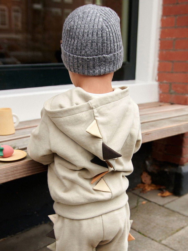 High Quality Spring And Autumn Boys Dinosaur Design Long Sleeves Top Zip - Up Hoodie And Pants Clothing Set - Polendo Design